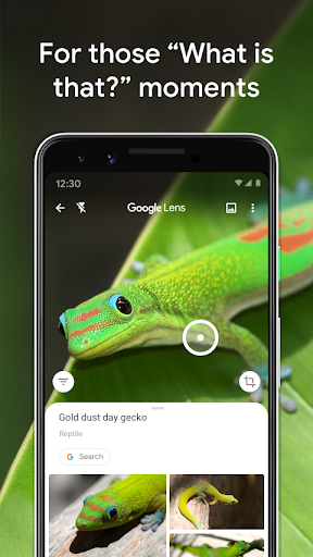 Google Lens 8