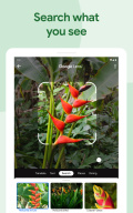 Google Photos screenshot