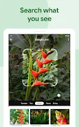 Google Photos 17
