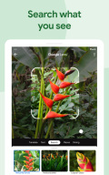 Google Photos screenshot