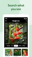 Google Photos 3