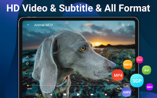 HD Video Player All Format APK screenshot