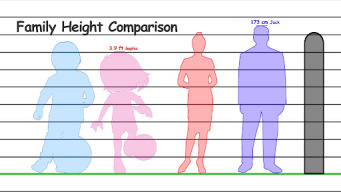 Height Measurement App APK screenshot