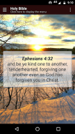 Holy Bible APK screenshot