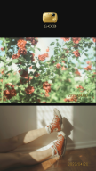 Kapi Cam screenshot