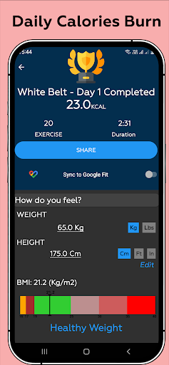 Karate Workout At Home APK screenshot