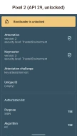 Key Attestation Demo APK screenshot