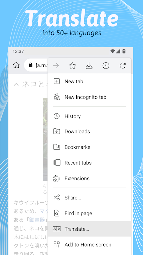 Kiwi Browser APK 4