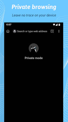 Kiwi Browser APK 7