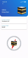 Live Mosque APK screenshot