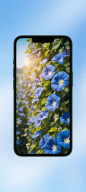 Morning Glory WalL screenshot