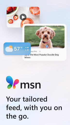 MSN 1