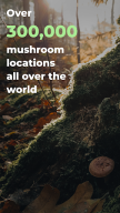 Mushroom Spot: mushroom map APK screenshot