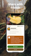 Mushroom Spot: mushroom map APK screenshot
