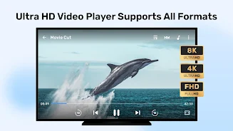 MX Player 17