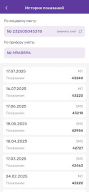 НЭСК APK screenshot