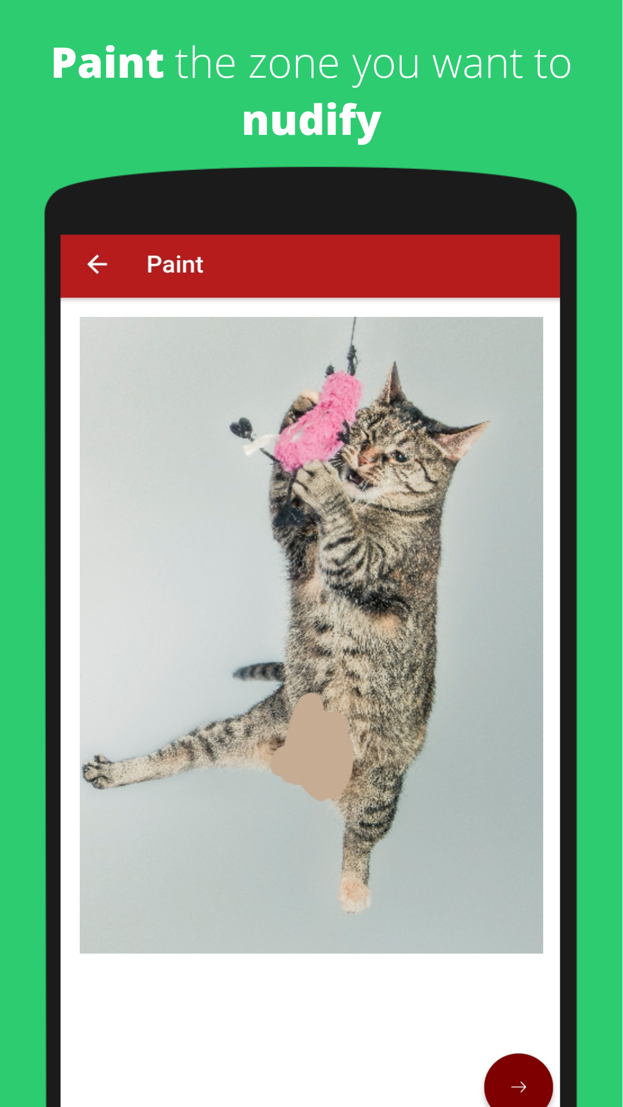 Nudify screenshot