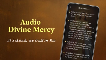 Oremus - Catholic Bible&Prayer APK screenshot