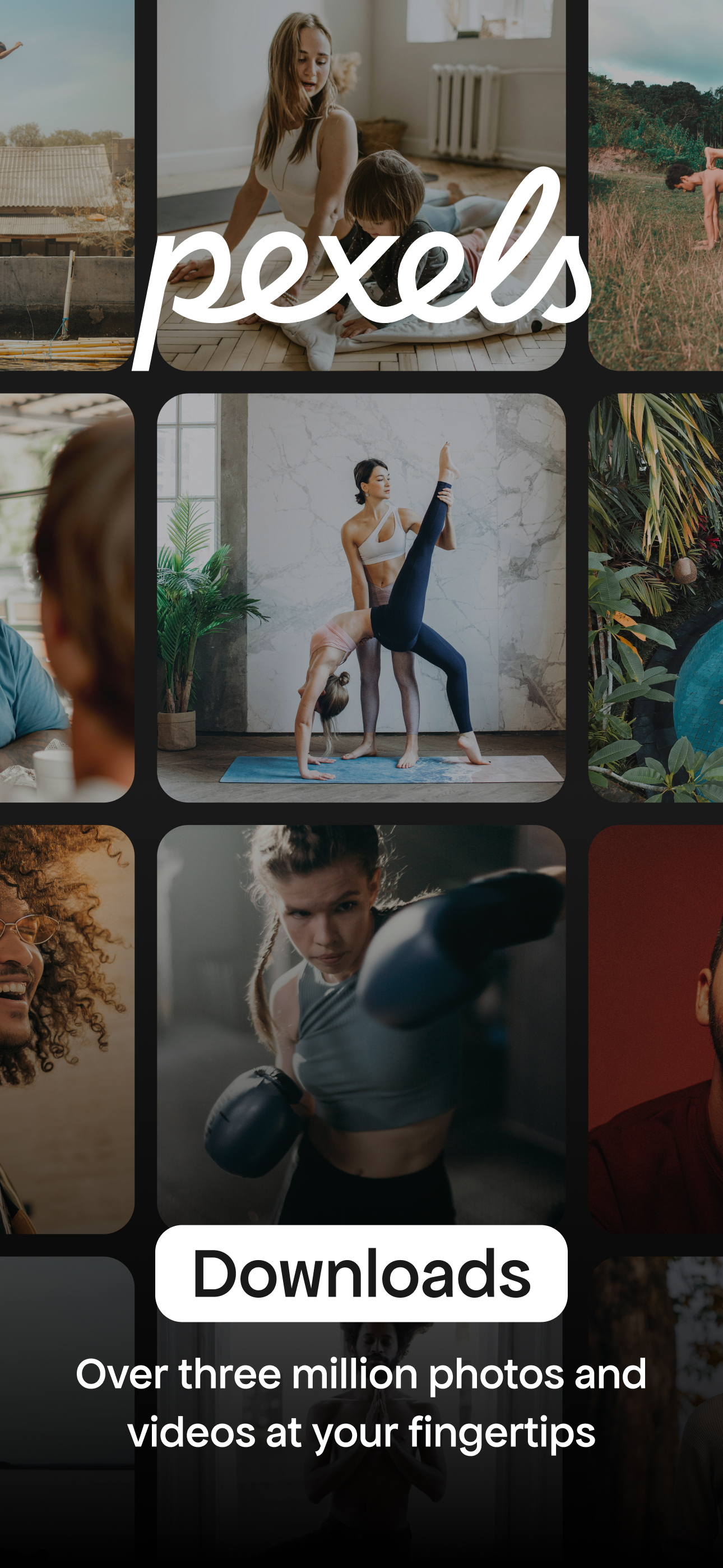Pexels: HD+ videos & photos APK screenshot