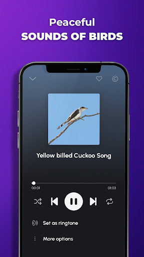 Phone Ringtones APK 22