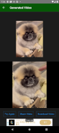 Pika Art : AI Video Generator APK screenshot