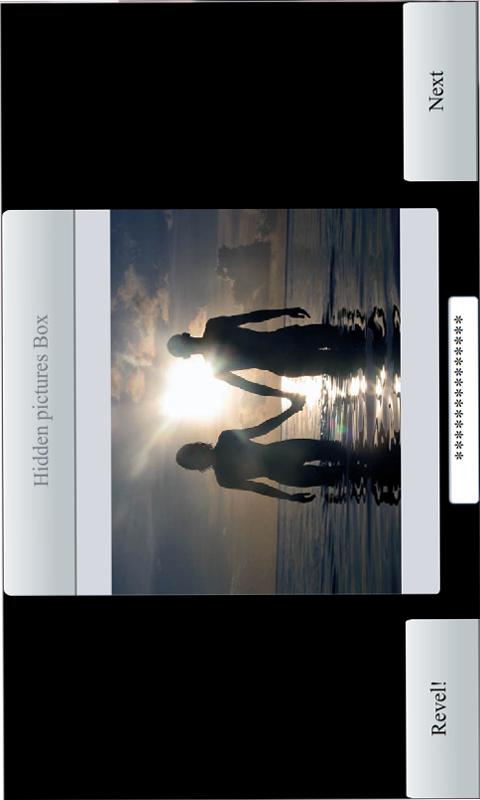 PinP Free screenshot
