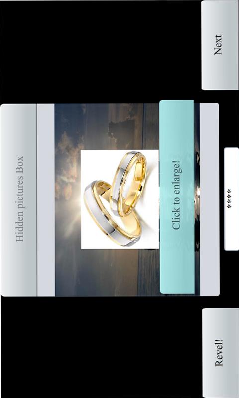 PinP Free screenshot