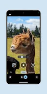 Pixel Camera 7