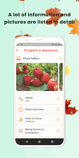Plant App - Identifier & Care APK screenshot