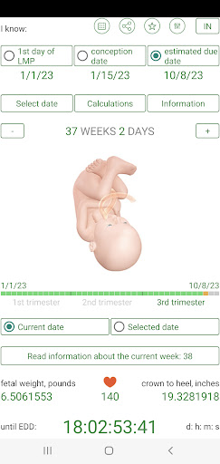 Pregnancy Due Date Calculator APK screenshot