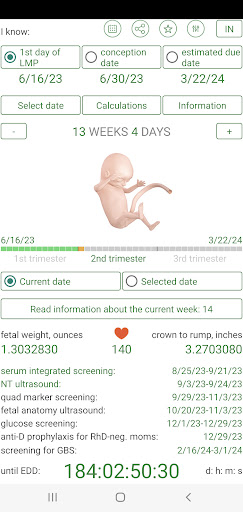 Pregnancy Due Date Calculator APK screenshot