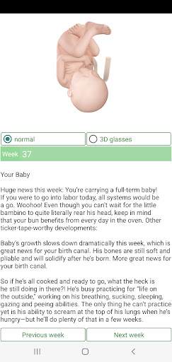 Pregnancy Due Date Calculator APK screenshot