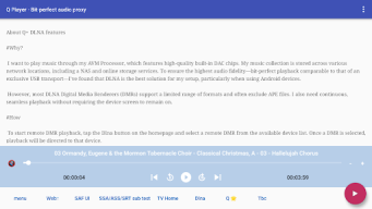 Q+ Player, DLNA Proxy DMR Geek APK screenshot
