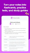 Quizlet 16