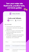 Quizlet 2