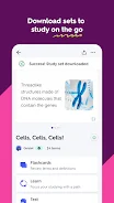 Quizlet 6