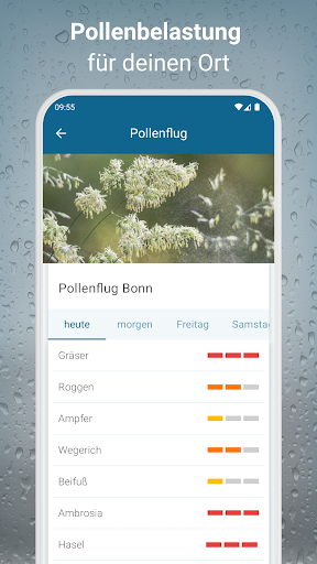 RegenRadar mit Unwetterwarnung APK screenshot
