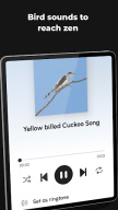 Ringtones for Android™ APK screenshot