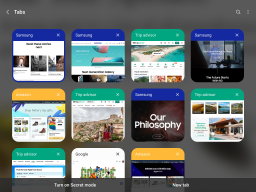 Samsung Internet APK screenshot