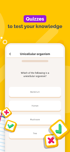 SchoolMouv - AI Tutor & Quiz APK screenshot