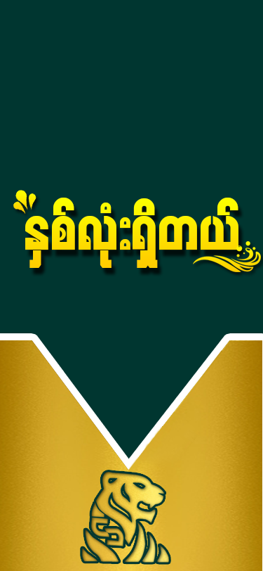 Shwe Tiger screenshot