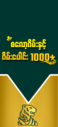 Shwe Tiger 6