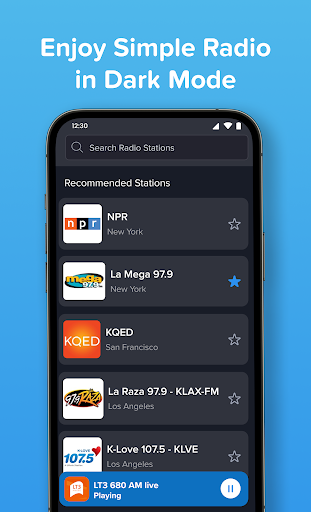 Simple Radio APK 6