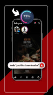 Video Downloader Snaplink screenshot