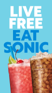 SONIC APK screenshot