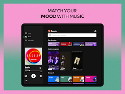 Spotify APK 14