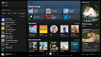 Spotify APK 16