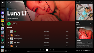 Spotify APK 17