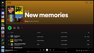 Spotify APK 18
