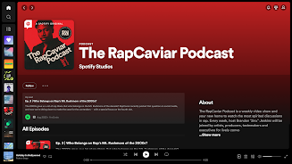 Spotify APK 19